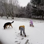 niania - zdjęcie ogłoszenia Opiekunka dla dzieci - Wola Karczewska, gm. Wiązowna, woj. mazowieckie