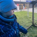 niania - zdjęcie ogłoszenia Poszukujemy opiekunki do współpracy