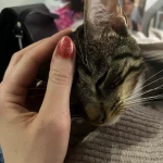 niania - zdjęcie plofirowe użytkownika Marta O.