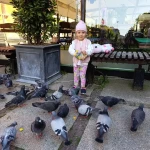 niania - zdjęcie ogłoszenia ✨Szukam niani na weekendy ✨