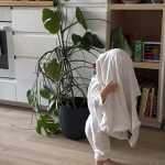 niania - zdjęcie ogłoszenia Poszukujemy opiekunki do współpracy