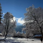 niania - zdjęcie ogłoszenia Poszukujemy niani / pomocy domowej – Engelberg (Szwajcaria)