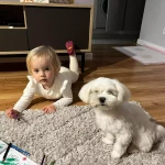 niania - zdjęcie ogłoszenia Potrzebna niania do dziecka