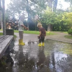 niania - zdjęcie ogłoszenia Szukamy niani wrzesien/pazdziernik- ul Lipska / Plaszow