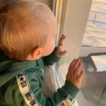 niania - zdjęcie ogłoszenia Szukamy niani z dobrą energią dla 1,5-rocznego malucha 