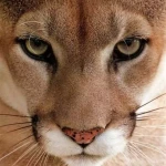 niania - zdjęcie plofirowe użytkownika Magdalena P.