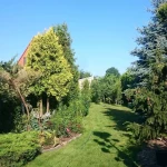 Praca niania, opiekunka