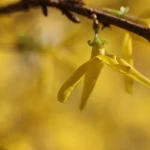 niania - zdjęcie ogłoszenia Opieka nad dzieckiem 2 latek