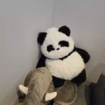 niania - zdjęcie ogłoszenia Poszukujemy opiekunki do pomocy Police