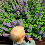 niania - zdjęcie ogłoszenia Poszukujemy ciepłej Niani dla 2-latka (Ursus – Szamoty)
