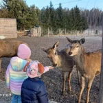 niania - zdjęcie ogłoszenia Szukamy niani dla 2ki dziewczynek, na każdy weekend po 4h