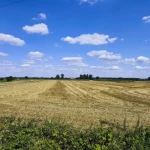 niania - zdjęcie ogłoszenia Opieka nad dzieckiem na pół etatu Kraków