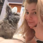niania - zdjęcie plofirowe użytkownika Alicja W.