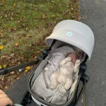 niania - zdjęcie plofirowe użytkownika Aleksandra A.