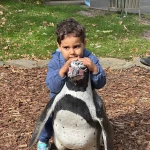 niania - zdjęcie ogłoszenia Praca dla opiekunki Gliwice