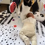 niania - zdjęcie ogłoszenia Potrzebna opiekunka do dziecka