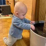 niania - zdjęcie ogłoszenia Praca dla opiekunki Poznań, Piątkowo