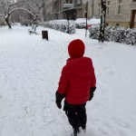 niania - zdjęcie ogłoszenia Looking for a native English-speaking nanny in Kraków