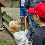 niania - zdjęcie ogłoszenia Opieka nad dziećmi dorywczo