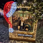 niania - zdjęcie ogłoszenia Searching nanny (occasionally)