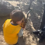 niania - zdjęcie ogłoszenia Super opiekunka poszukiwana Szczecin