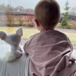 niania - zdjęcie ogłoszenia Poszukujemy opiekunki do pomocy Szreniawa, gm. Komorniki, woj. wielkopolskie