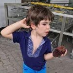 niania - zdjęcie ogłoszenia Szukamy niani, Wrocław, Osiedle Muchobór Wielki