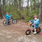 niania - zdjęcie ogłoszenia Dam pracę opiekunce