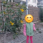 niania - zdjęcie ogłoszenia Szukam opieki do dziecka