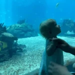 niania - zdjęcie ogłoszenia Poszukujemy niani dla rocznej dziewczynki – okolice zalewu Bagry