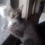 niania - zdjęcie plofirowe użytkownika Katarzyna S.