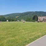 niania - zdjęcie ogłoszenia Opiekunka do 5 letniej dziewczynki. Wadowice