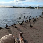 niania - zdjęcie ogłoszenia Szukamy niani do pomocy Warszawa, Wawer, Falenica