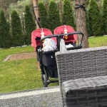 niania - zdjęcie ogłoszenia Niania Opiekunka Pomoc Rozgarty, gm. Zławieś Wielka, woj. kujawsko-pomorskie