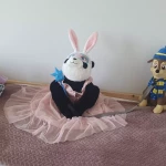 niania - zdjęcie ogłoszenia Niania dla 6 latki Kostrze