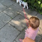 niania - zdjęcie ogłoszenia Niania na sierpień/wrzesień