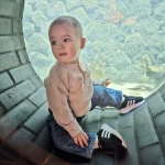 niania - zdjęcie ogłoszenia 24.06.2026 godziny wieczorne - jednorazowa opieka nad 16-miesięcznym chłopcem