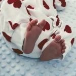 niania - zdjęcie ogłoszenia Szukam opieki dla dziecka