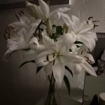 niania - zdjęcie plofirowe użytkownika Emilka K.