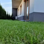 niania - zdjęcie ogłoszenia Szukamy niani na 2 dni w tygodniu