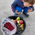 niania - zdjęcie ogłoszenia Opieka nad dzieckiem - Żernica, gm. Pilchowice, woj. śląskie