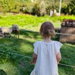 niania - zdjęcie ogłoszenia Szukam opiekunki Rozgarty, gm. Zławieś Wielka, woj. kujawsko-pomorskie