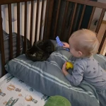 niania - zdjęcie ogłoszenia Potrzebna opiekunka do dziecka