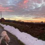 niania - zdjęcie plofirowe użytkownika Martyna R.