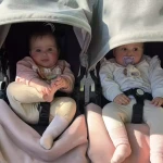 niania - zdjęcie ogłoszenia Niania dla bliźniaczek  