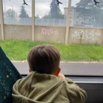 niania - zdjęcie ogłoszenia Opieka nad 3 latkiem 22-23.09