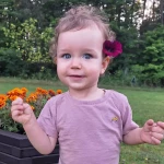 niania - zdjęcie ogłoszenia Dam pracę opiekunce