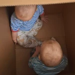 niania - zdjęcie ogłoszenia Opieka nad rocznymi bliźniakami Gniezno