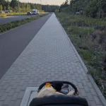 niania - zdjęcie ogłoszenia Poszukiwana niania
