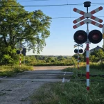 niania - zdjęcie ogłoszenia Opieka nad pociechąopieka nad dziećmi 12 i 14 lat nowiny kielce